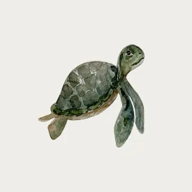 Atlas & August Turtle 2 Reusable Wall Sticker