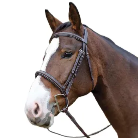 Avignon Ocala Bridle