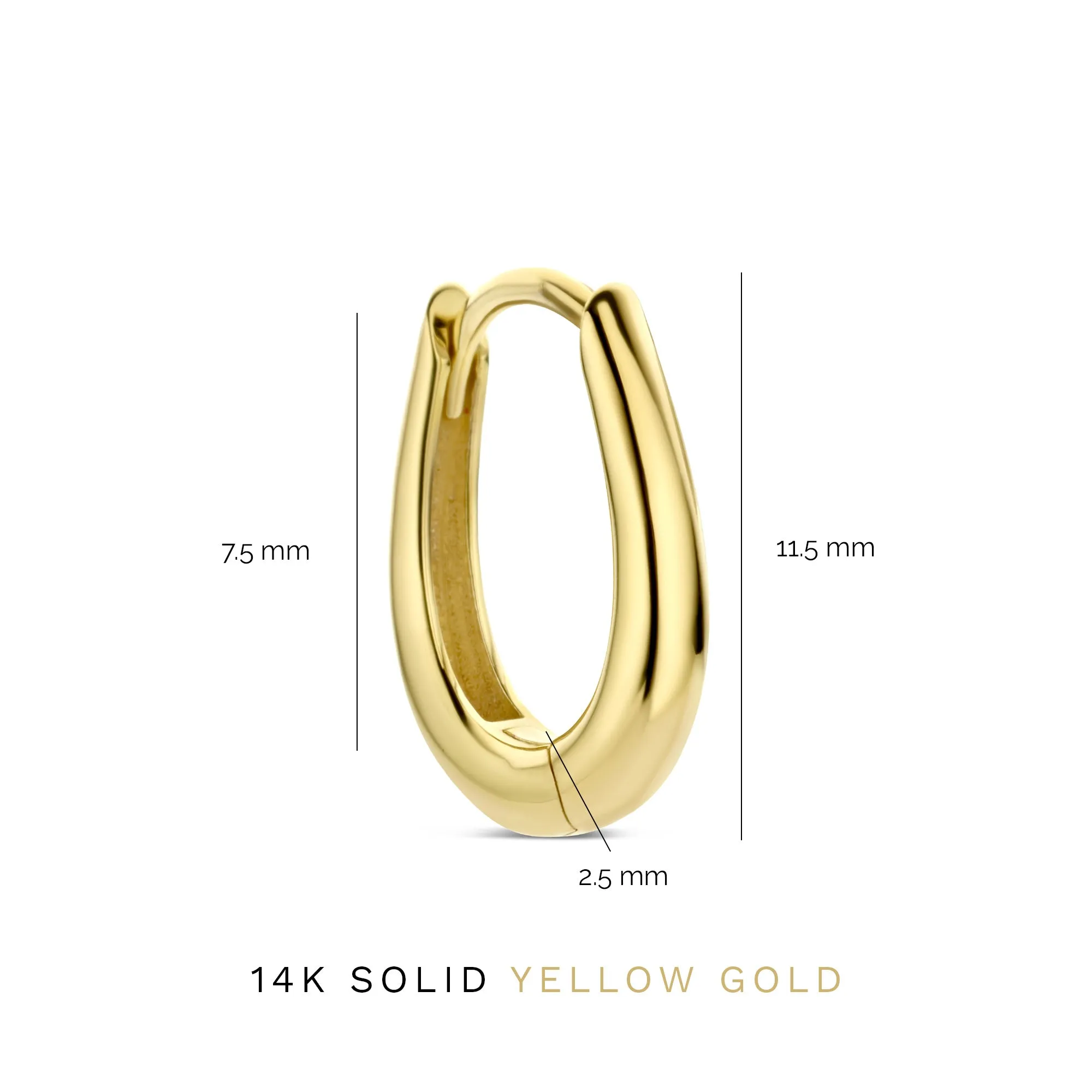 Rivoli Maryn 14 karat gold hoop earrings